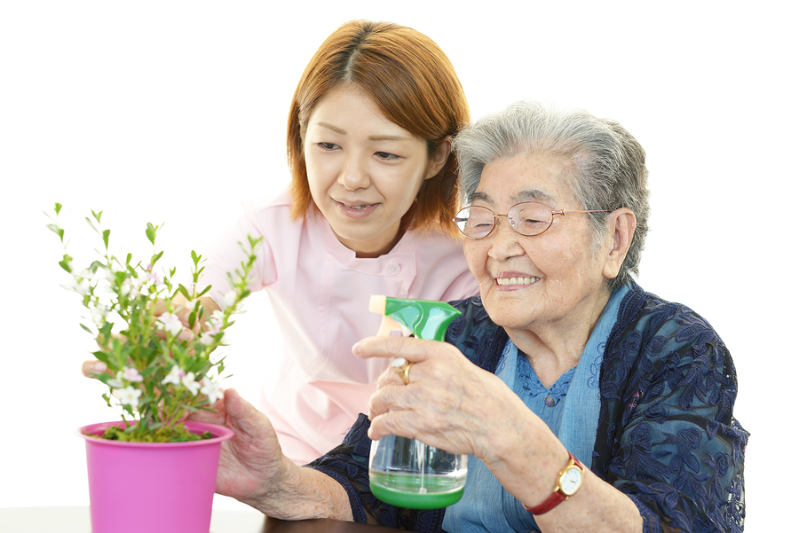 Homecare Kirby TX - Why Are Houseplants a Good Choice for Your Senior?